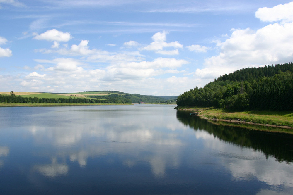 Talsperre am Waldrand